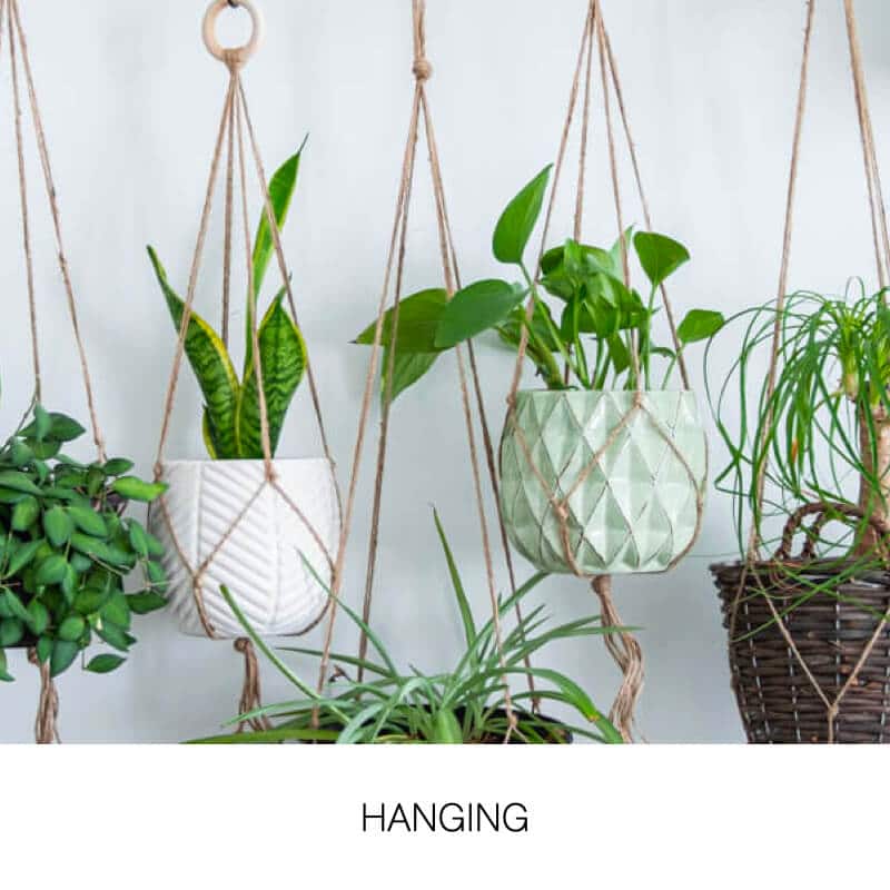 Hanging 