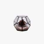 PENTAGON 15cm. Black